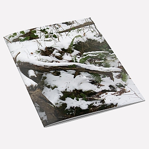 Snow Tree A6 Notebook