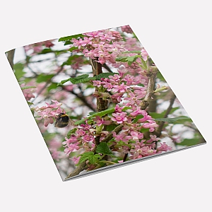 Blossom Notebook A6