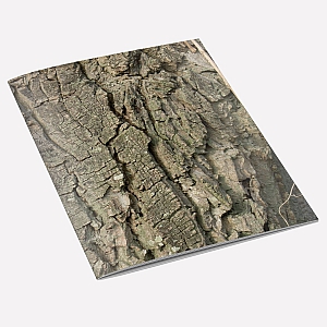 Walnut Tree Bark Notebook