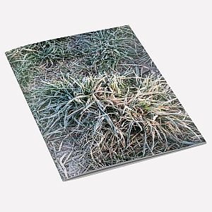 Frosty Grass Notebook