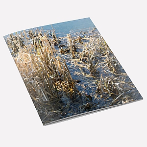 Winter Rushes Notebook
