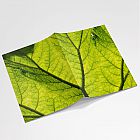 Leaf Notebook A6