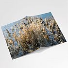 Winter Rushes A6 Notebook